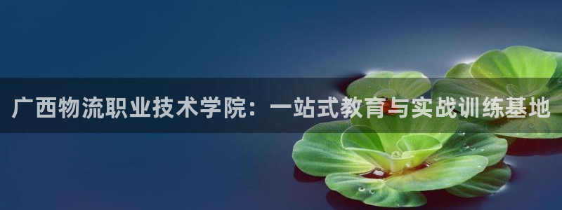 28圈注册网站多少：广西物流职业技术