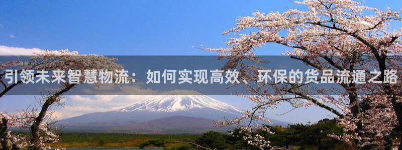 28圈注册网址:引领未来智慧物流:如