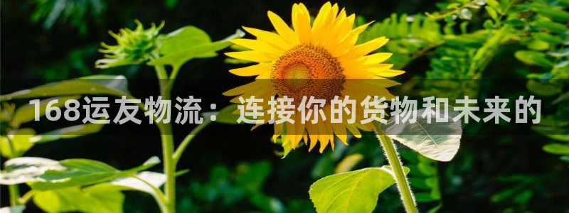 28圈官网多少:168运友物流:连接