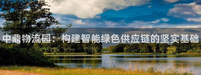 28圈反水怎么算：中鼎物流园：构建智