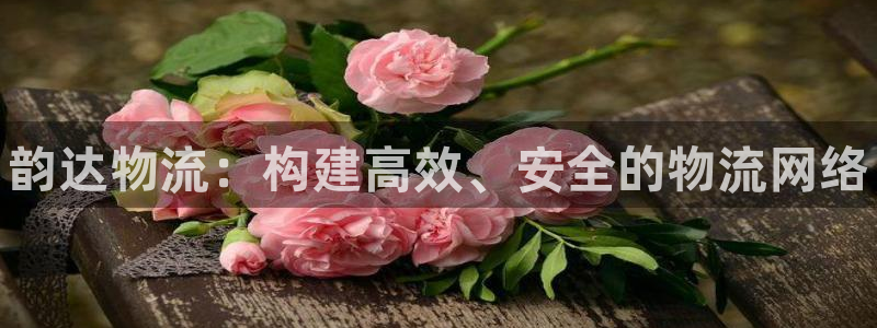 28圈官网版下载：韵达物流：构建高效