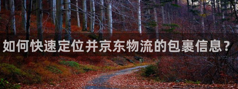 28圈下载二维码怎么弄：如何快速定位