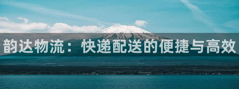 28圈提现不到账：韵达物流：快递配送