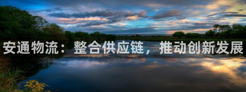 28圈注册登录链接：安通物流：整合供