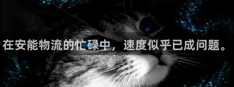 28圈注册号：在安能物流的忙碌中，速