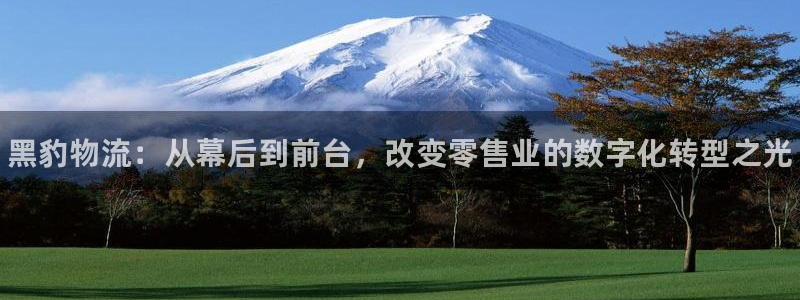 28圈是啥：黑豹物流：从幕后到前台，