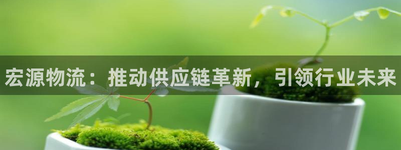 28圈技巧：宏源物流：推动供应链革新