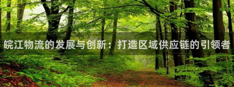 28圈吧：皖江物流的发展与创新：打造