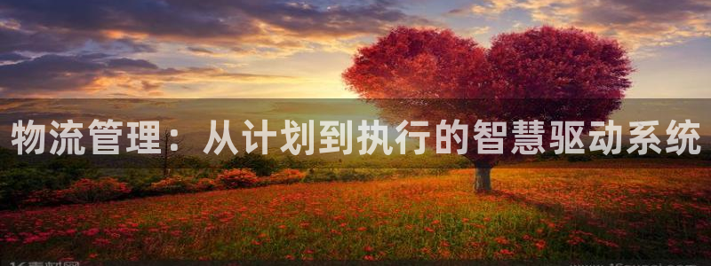 28圈app注册地址：物流管理：从计