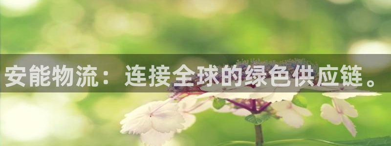 28圈官网链接：安能物流：连接全球的