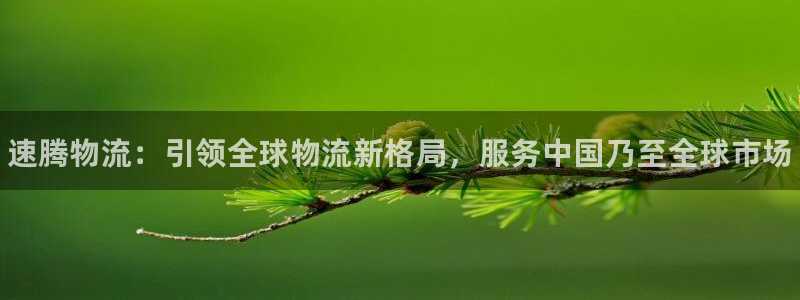 28圈代理落网：速腾物流：引领全球物