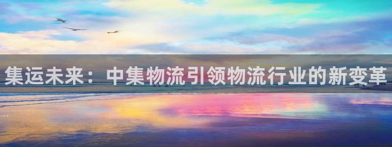 28圈官网下载链接是什么：集运未来：