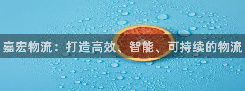 28圈官方网站：嘉宏物流：打造高效、