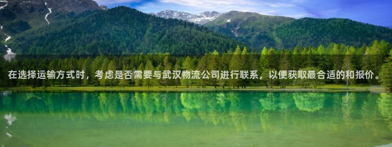 28圈注册上限是啥意思：在选择运输方