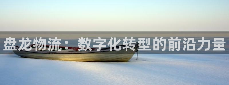28圈加拿大在线预测：盘龙物流：数字