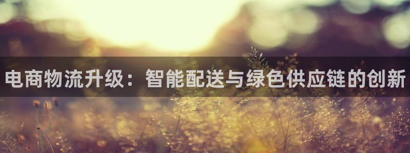 28圈p扣除：电商物流升级：智能配送