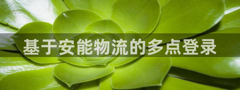 28圈初始资金密码在哪里改：基于安能