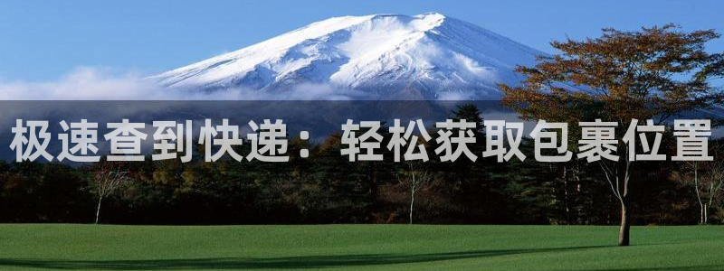 28圈防失联网址：极速查到快递：轻松
